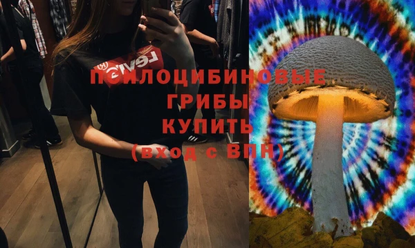 соль ск Алексин