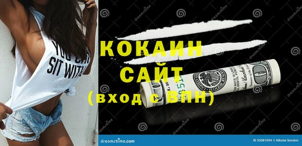 соль ск Алексин