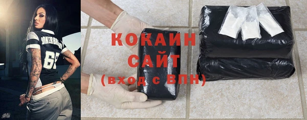 крисы Абаза