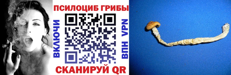 купить наркотик Ивангород Галлюциногенные грибы Magic Shrooms