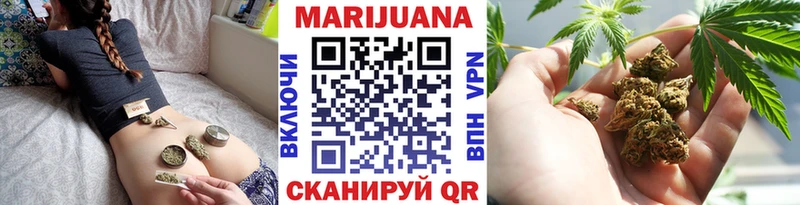 Шишки марихуана сатива  kraken   Ивангород  наркотики 